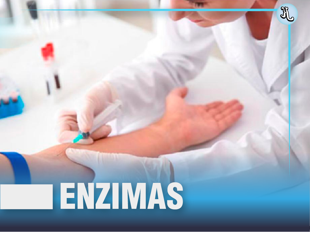 Enzimas